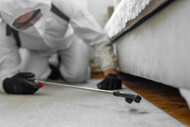 Professional Bed Bug Control technician working in Homestead, FL