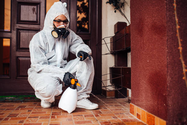 Reliable Bed Bug Control contractor in Homestead, FL by Nex Pest Control